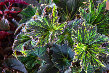 Similar image 22439029