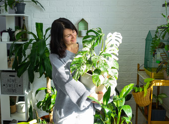 Similar image 22439036