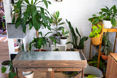 Similar image 22439045