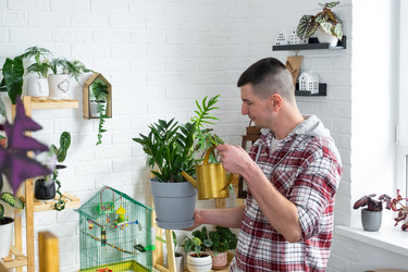 Similar image 22428266