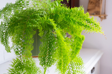 Similar image 22439053