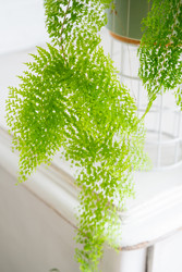 Similar image 22439055