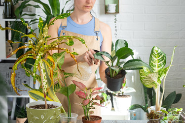 Similar image 22439059