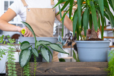 Similar image 22439060