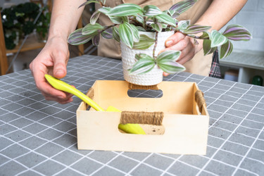 Similar image 22439062