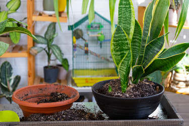 Similar image 22439063