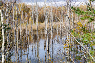 Similar image 22439070