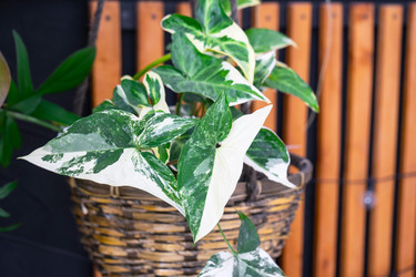 Similar image 22439084