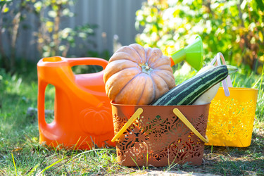 Similar image 22439087