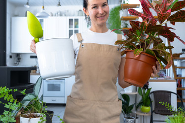 Similar image 22423150