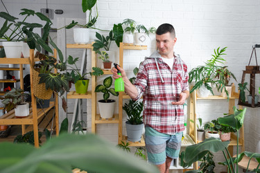 Similar image 22439088