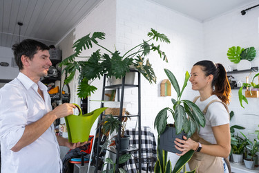 Similar image 22428270