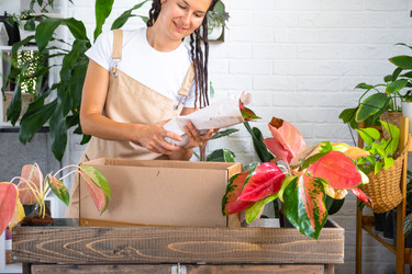 Similar image 22428271