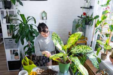 Similar image 22428273