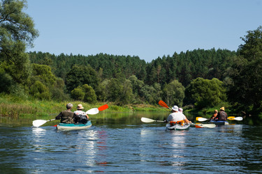 Similar image 22439097