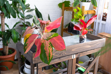 Similar image 22439103