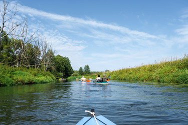 Similar image 22439112