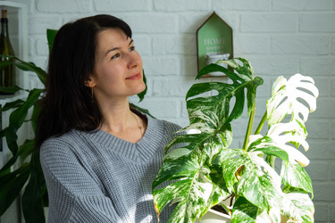 Similar image 22428287