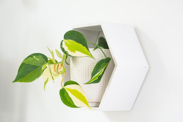 Similar image 22439113