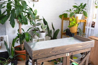 Similar image 22439117