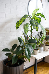 Similar image 22439119