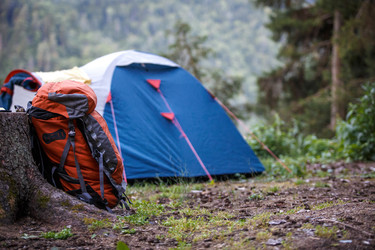 Similar image 22439122