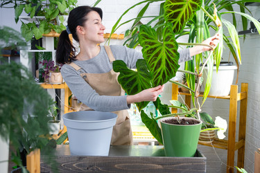 Similar image 22428293