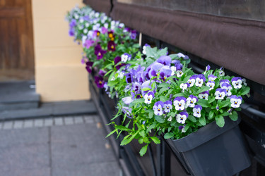 Similar image 22439125