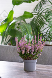 Similar image 22439131