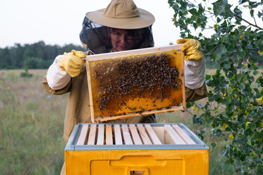 Similar image 22428299