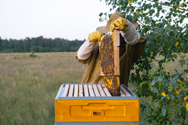 Similar image 22428308