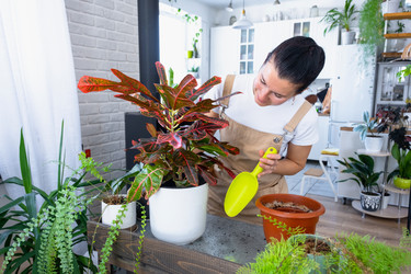 Similar image 22428424