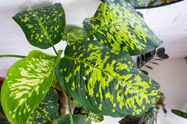 Similar image 22428429