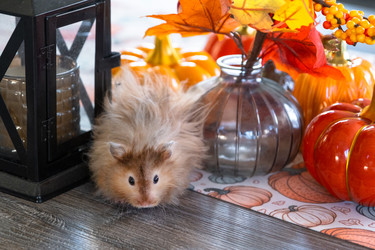 Similar image 22428430