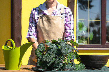 Similar image 22428434