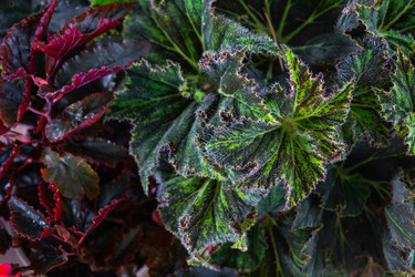 Similar image 22428438