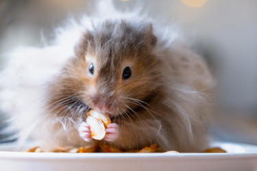 Similar image 22428439