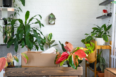 Similar image 22428440