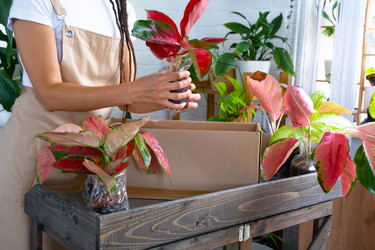 Similar image 22428448