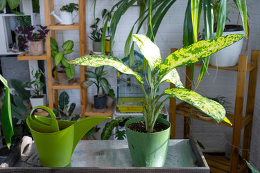 Similar image 22428461