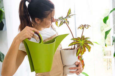 Similar image 22428464