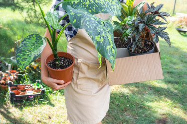 Similar image 22428466