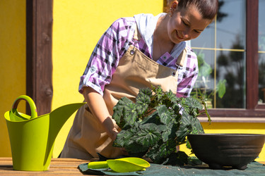 Similar image 22428468