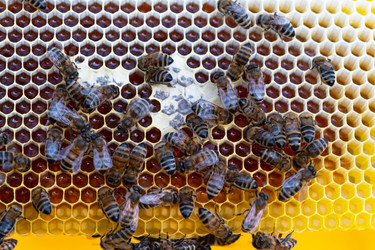 Similar image 22428486