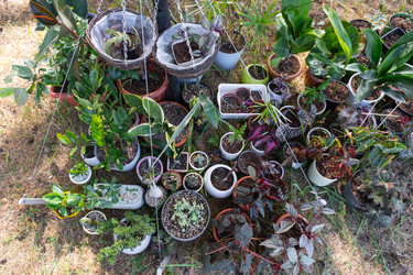 Similar image 22428489