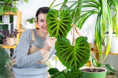 Similar image 22428491