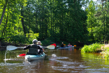 Similar image 22439137