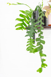 Similar image 22428502