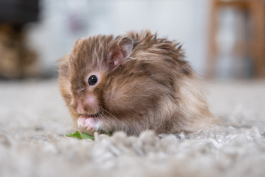 Similar image 22428507