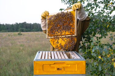 Similar image 22428516